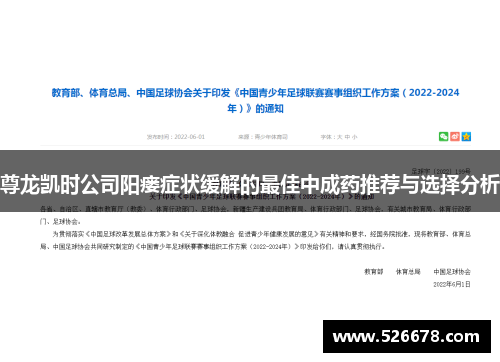 尊龙凯时公司阳瘘症状缓解的最佳中成药推荐与选择分析