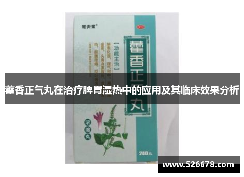 藿香正气丸在治疗脾胃湿热中的应用及其临床效果分析